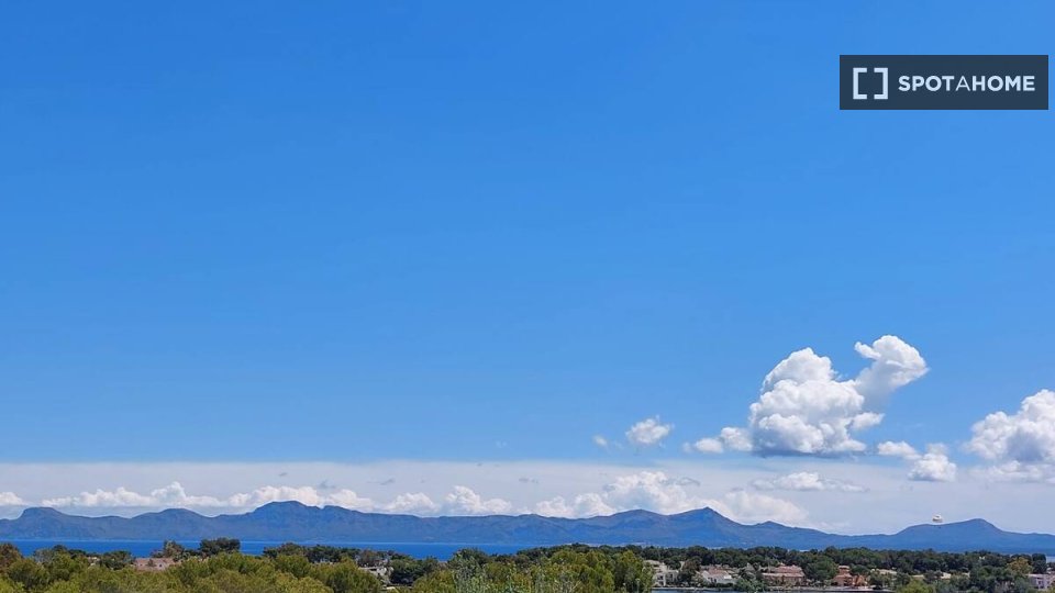 Apartment Palma_De_Mallorca, 2 beds, 80m² — photo 15