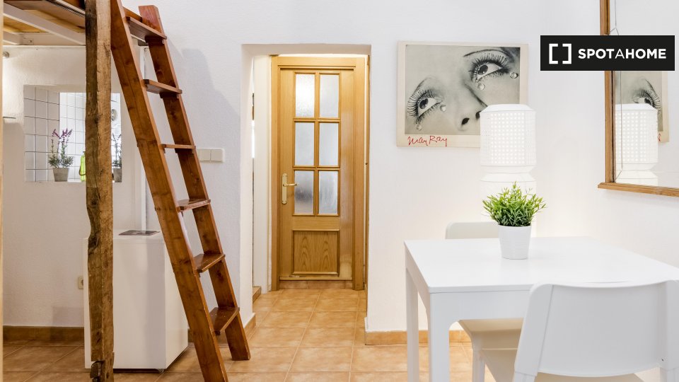 Apartment mono Madrid, 29m² — photo 6