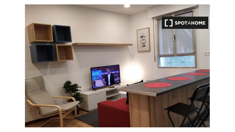 Apartment Bilbao, 4 beds — photo 1