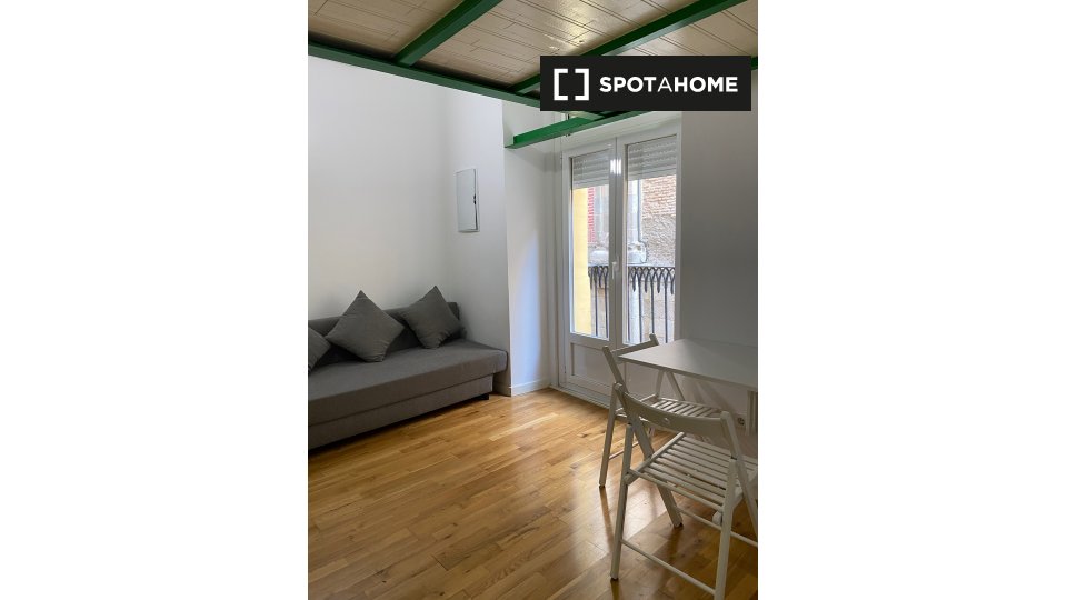 Apartment mono Madrid, 33m² — photo 1