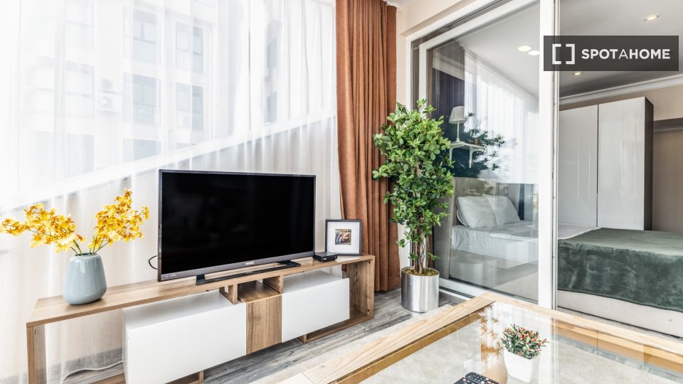 Apartment Istanbul, 1 bed — photo 4