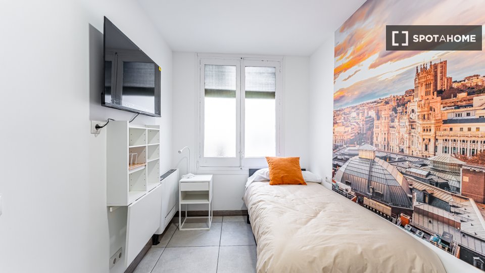 Double room Madrid, 18 beds, 450m² — photo 14