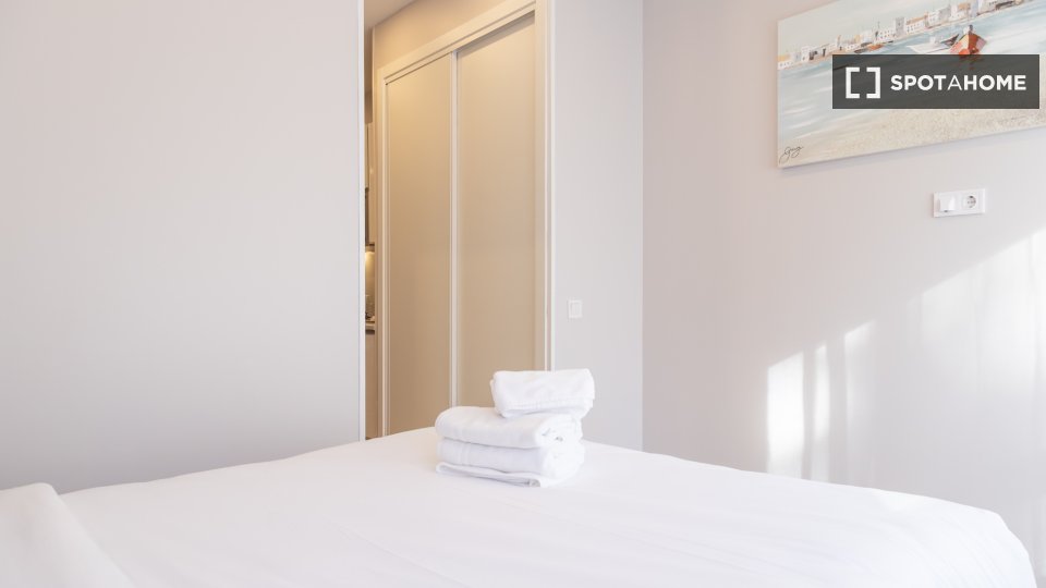 Apartment mono Madrid — photo 9