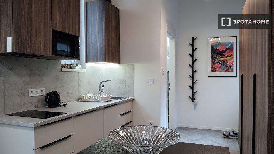 Apartment mono Budapest, 26m² — photo 4