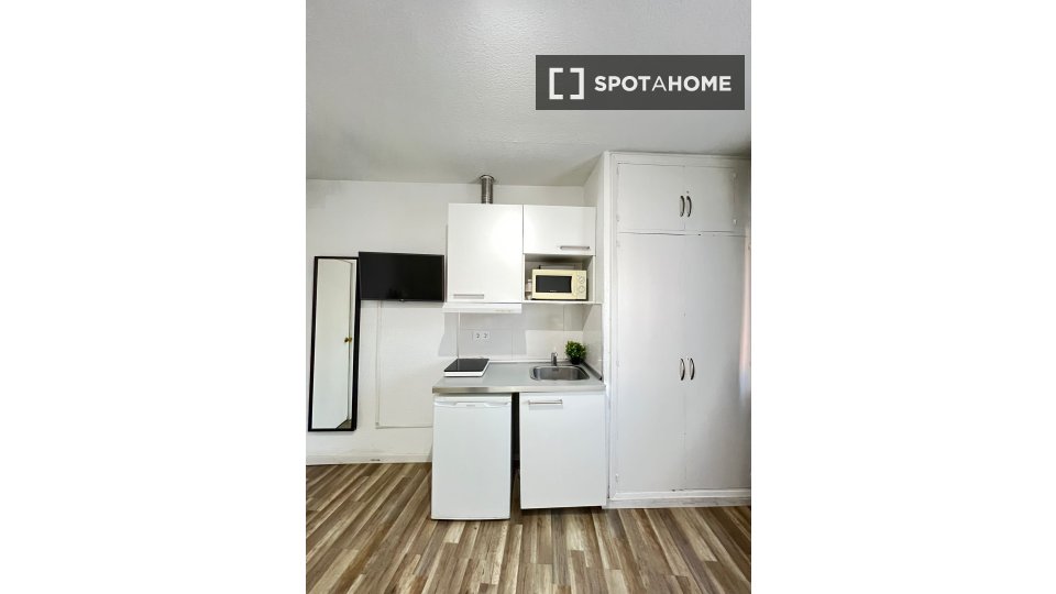 Apartment mono Madrid — photo 18