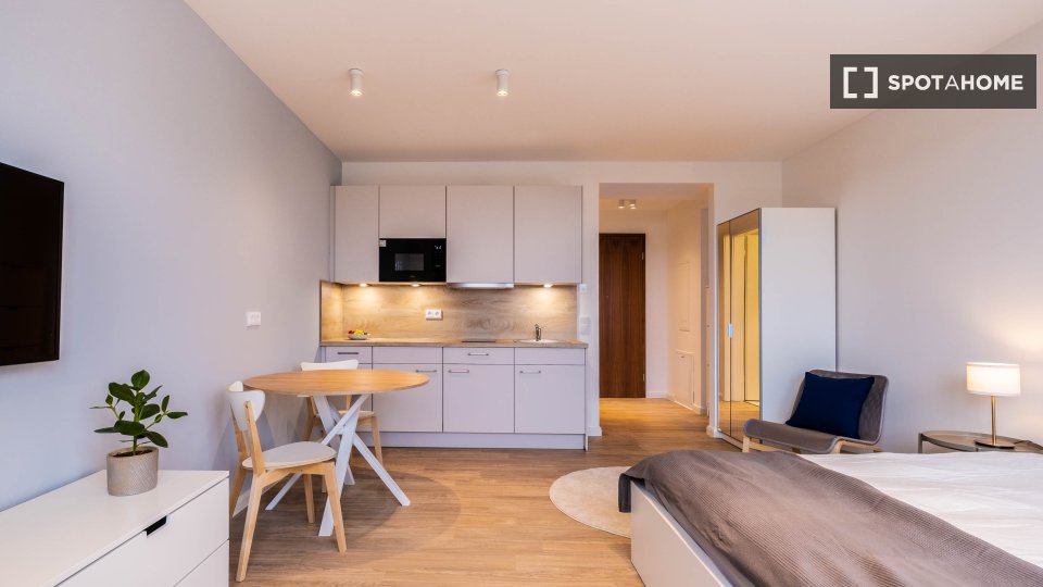Apartment mono Berlin, 38m² — photo 7