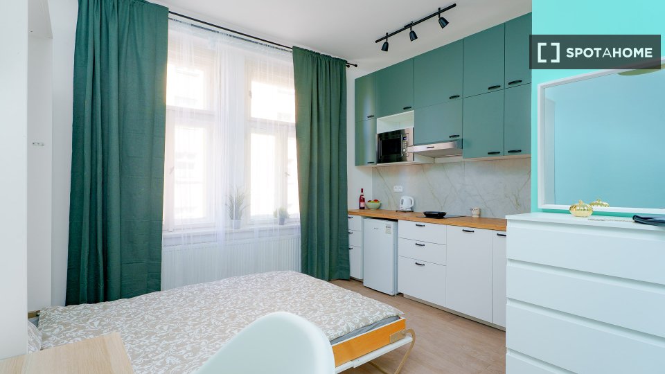 Apartment mono Prague, 18m² — photo 8