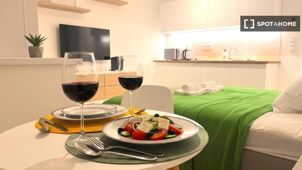 Apartment mono Budapest, 26m² — photo 10