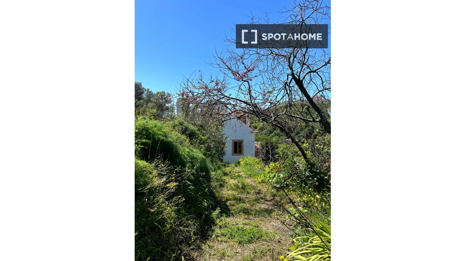 Apartment Lisbon, 1 bed — photo 18