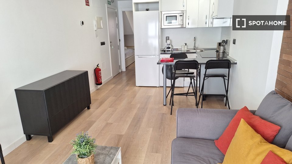 Apartment mono Madrid, 30m² — photo 40