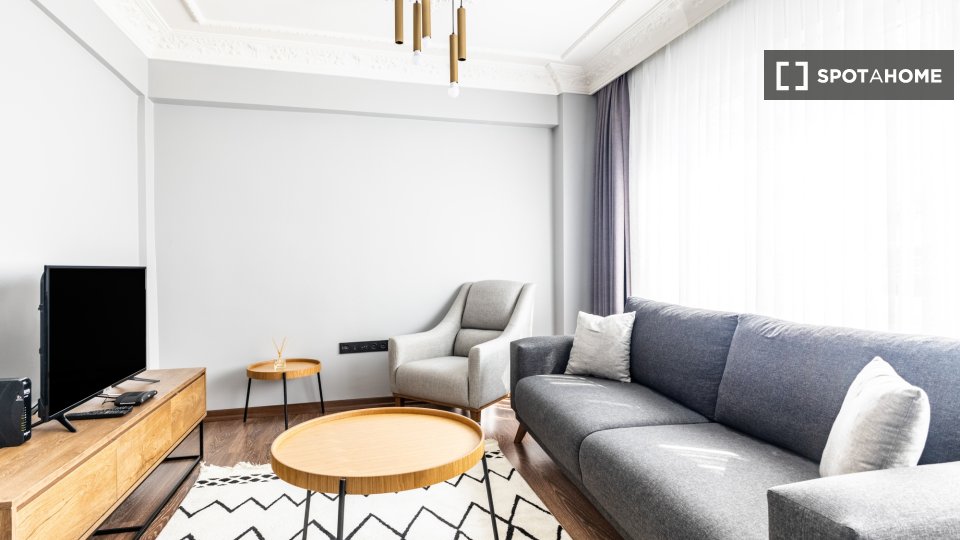 Apartment Istanbul, 1 bed — photo 2
