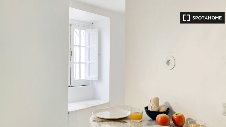 Apartment Lisbon, 1 bed — photo 4