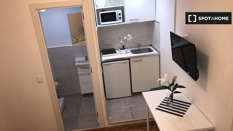 Apartment mono Madrid, 23m² — photo 8