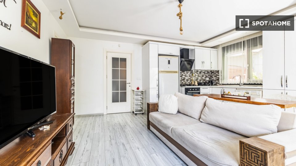 Apartment Istanbul, 1 bed — photo 10