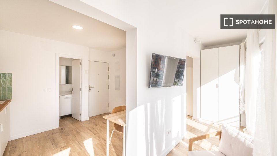 Apartment mono Madrid — photo 14