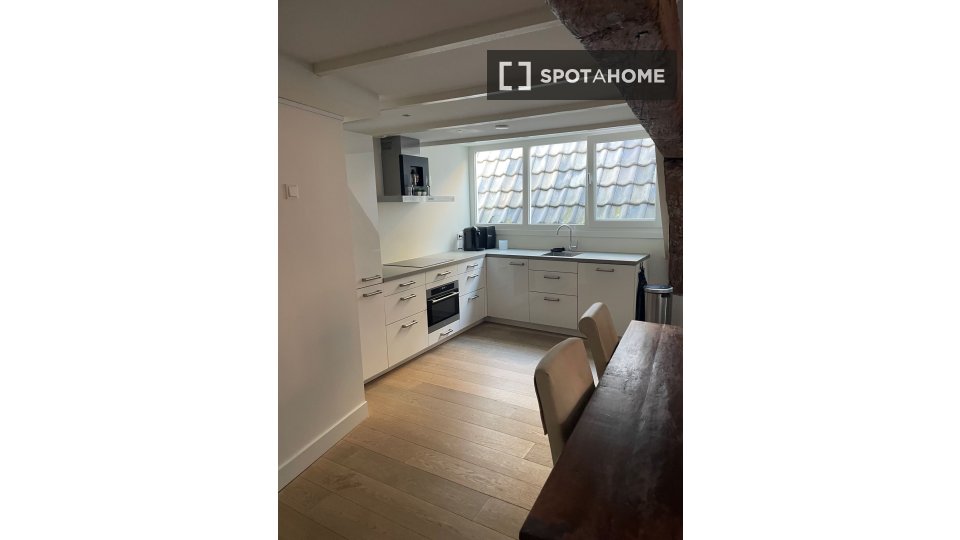 Apartment mono Amsterdam, 74m² — photo 8