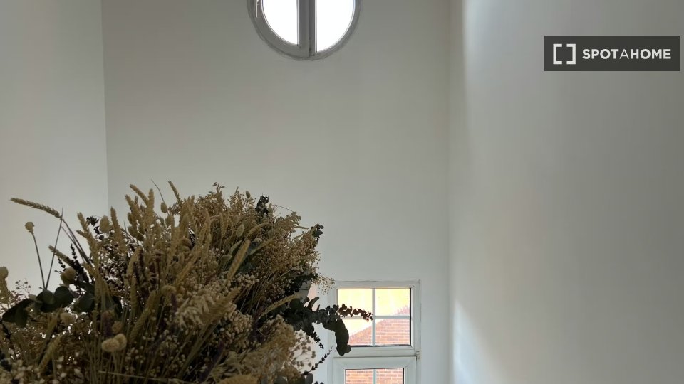 Apartment mono Madrid, 16m² — photo 18