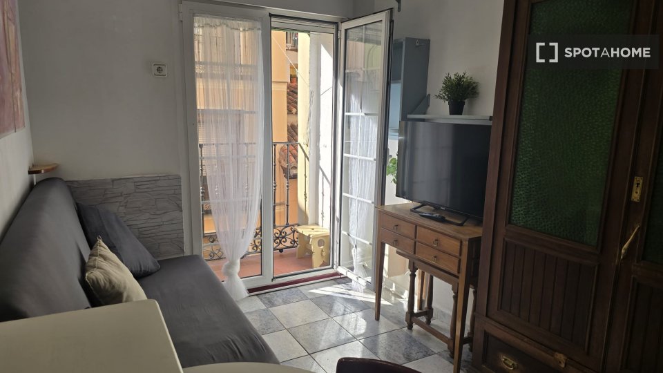 Apartment mono Madrid — photo 38