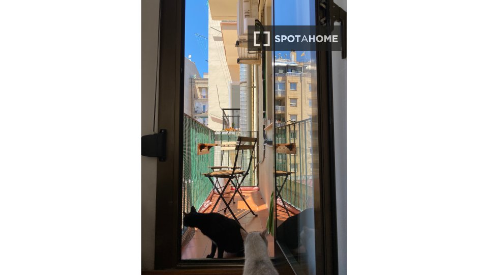 Double room Barcelona, 2 beds, 75m² — photo 6