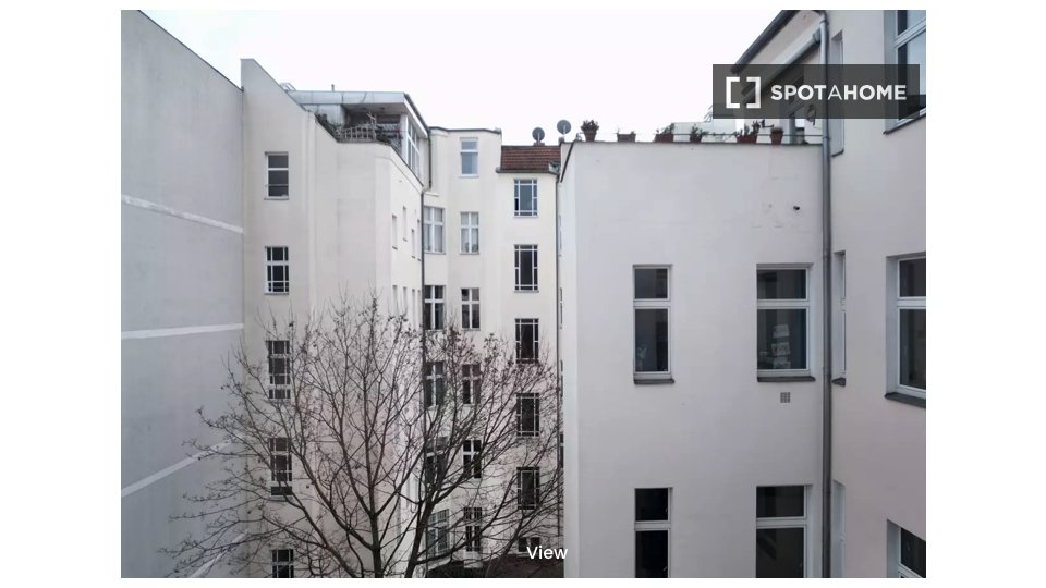 Apartment mono Berlin, 45m² — photo 5