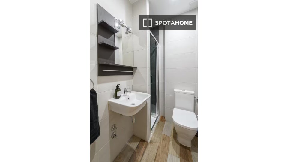 Double room Madrid, 2 beds — photo 18
