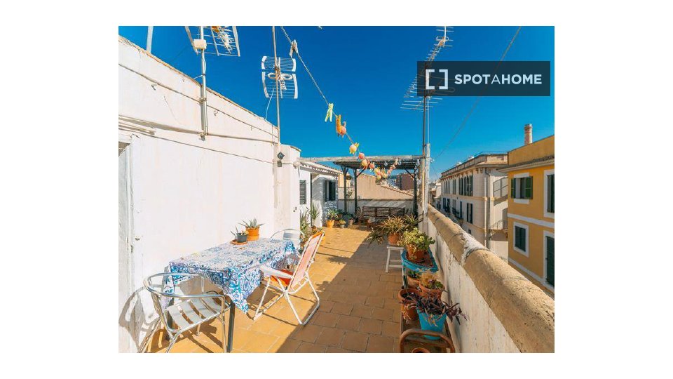 Apartment mono Palma_De_Mallorca, 90m² — photo 4