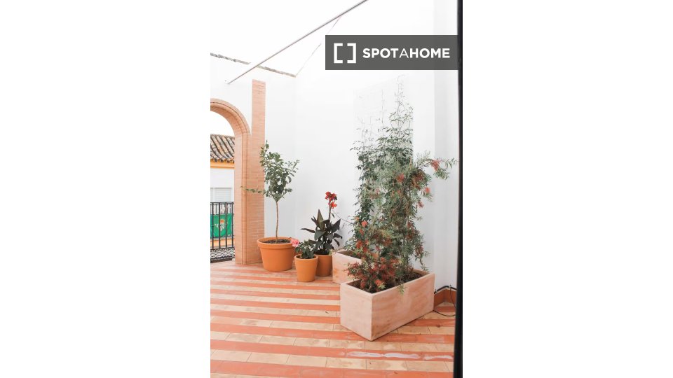 Apartment Seville, 1 bed, 30m² — photo 15