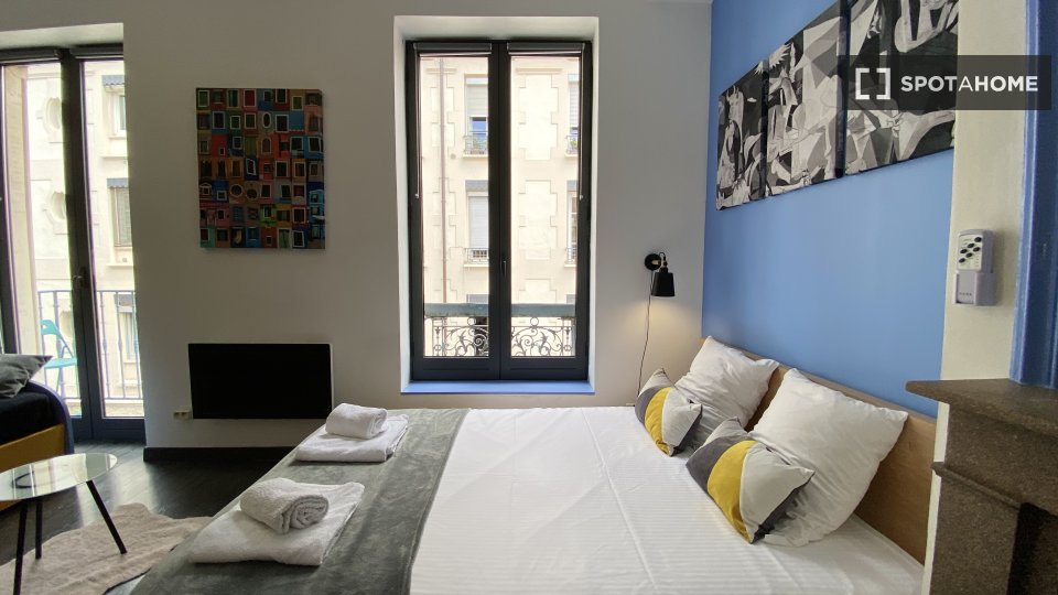 Apartment mono Lyon — photo 5