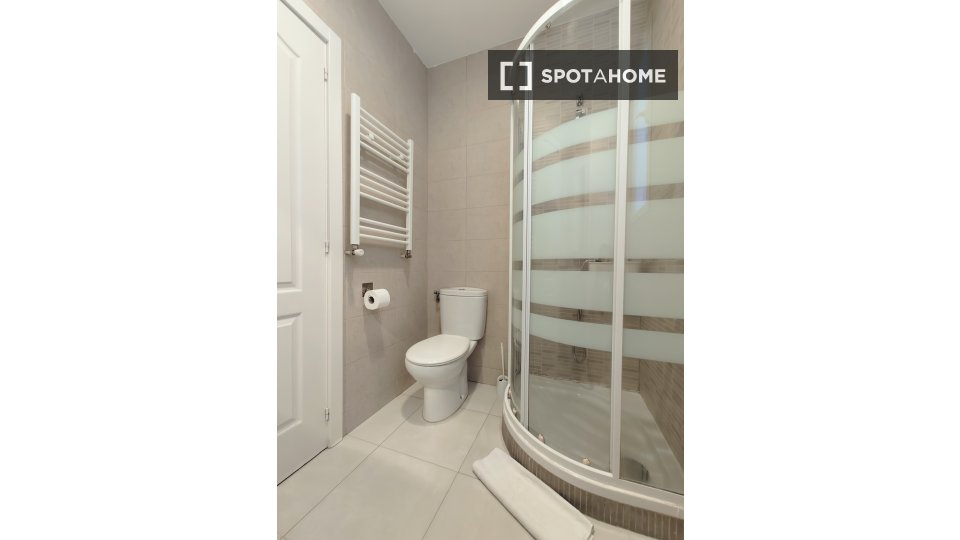Double room Madrid, 2 beds — photo 12