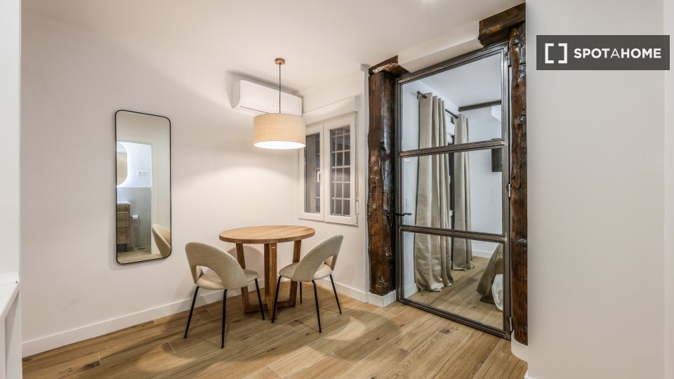 Apartment mono Madrid, 22m² — photo 3