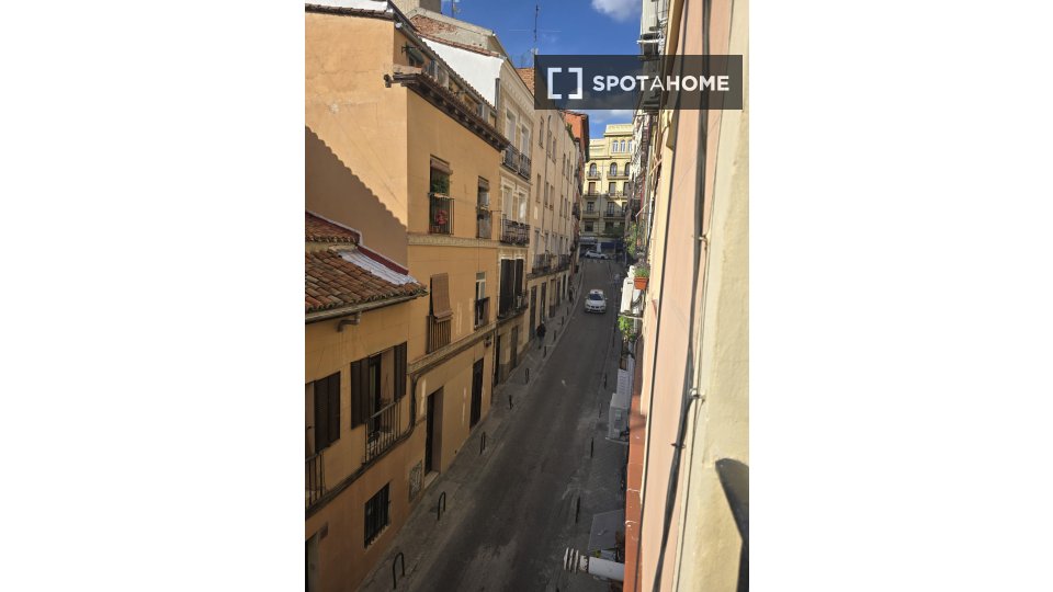 Apartment mono Madrid — photo 12