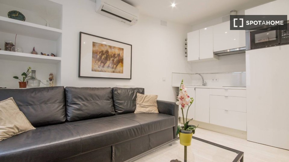 Apartment Madrid, 1 bed, 35m² — photo 11