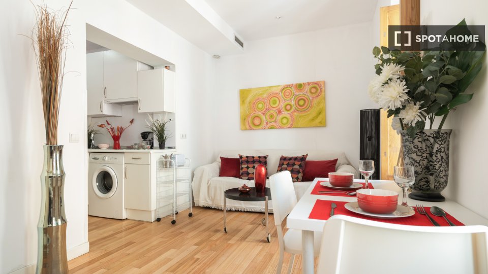 Apartment Madrid, 1 bed — photo 18