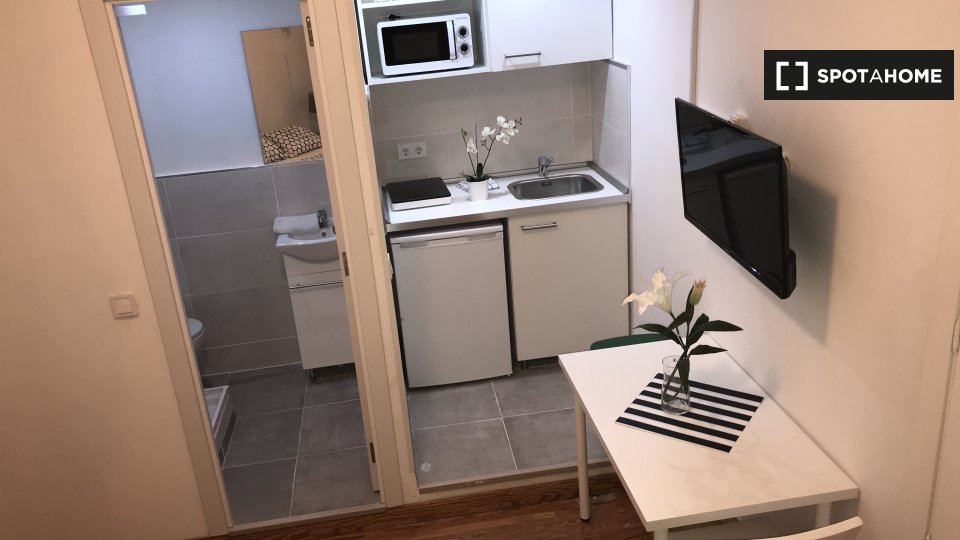 Apartment mono Madrid, 23m² — photo 6
