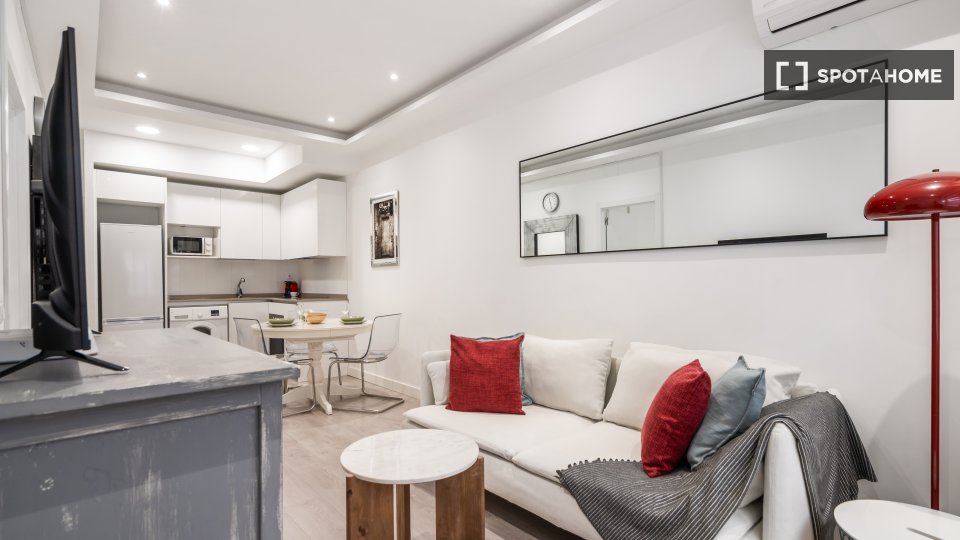 Apartment mono Madrid, 45m² — photo 13