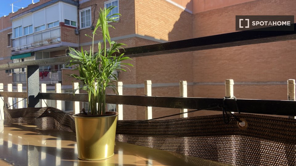Double room Madrid, 4 beds — photo 25