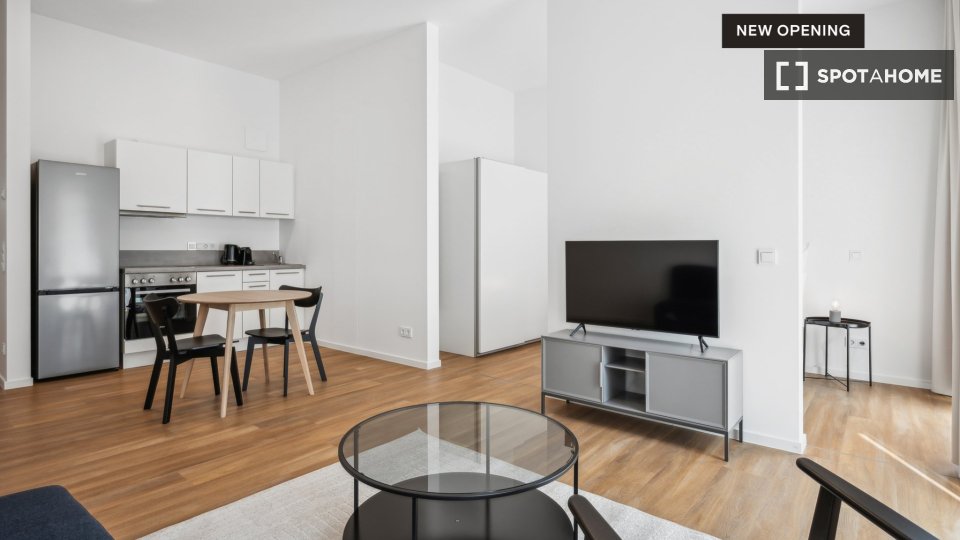 Apartment mono Berlin, 47m² — photo 5