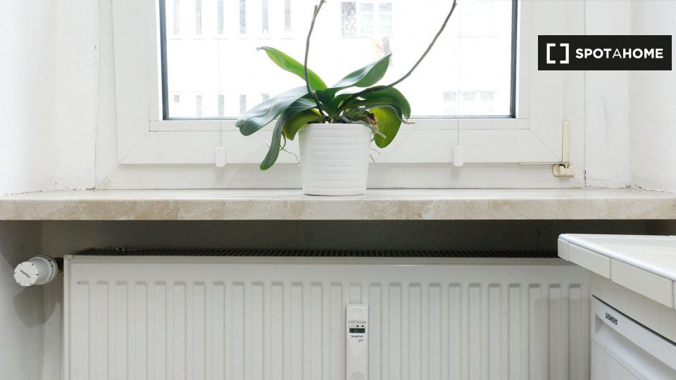 Apartment mono Berlin, 52m² — photo 14