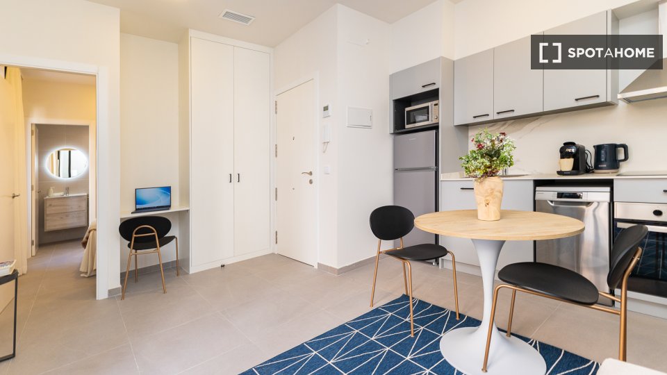 Apartment Valencia, 1 bed — photo 24
