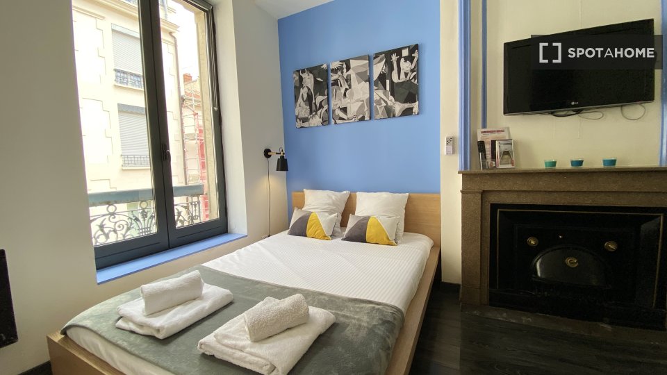 Apartment mono Lyon — photo 14