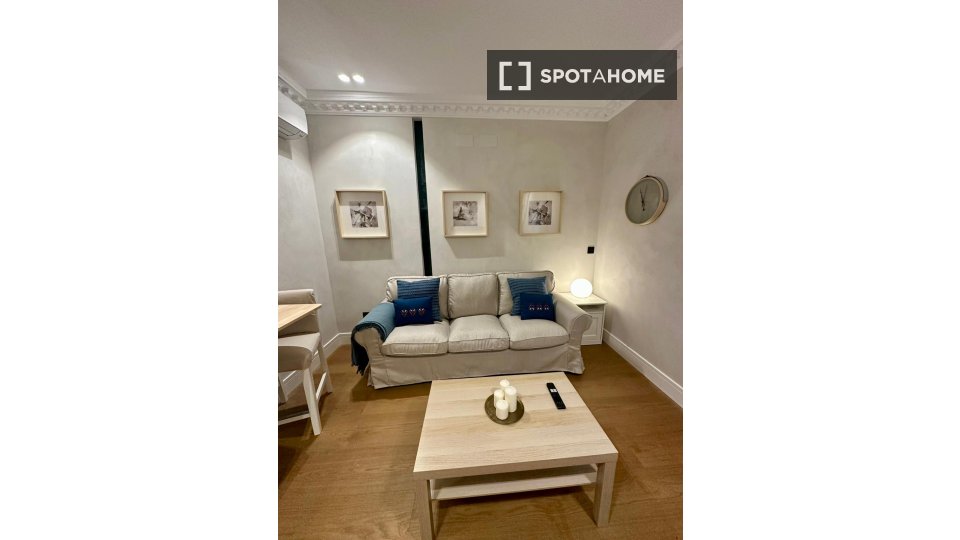 Apartment mono Madrid, 45m² — photo 11