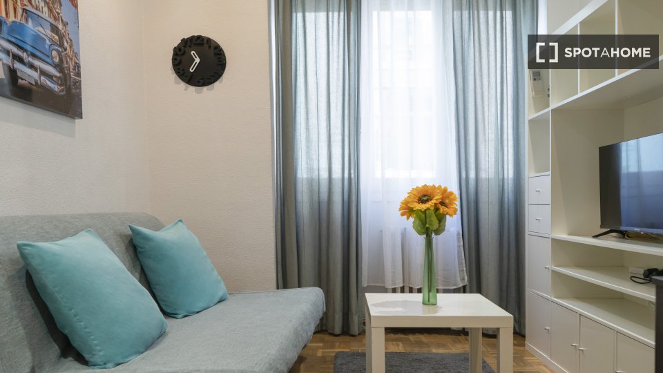Apartment mono Madrid, 45m² — photo 7
