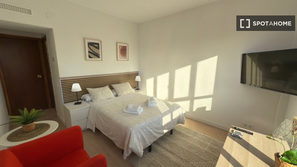 Apartment mono Madrid, 23m² — photo 48
