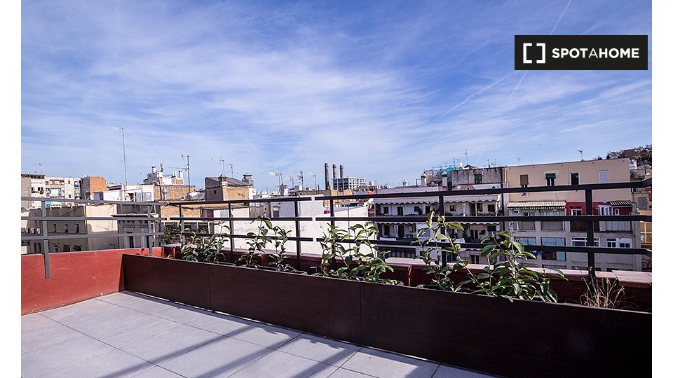 Apartment mono Barcelona — photo 14