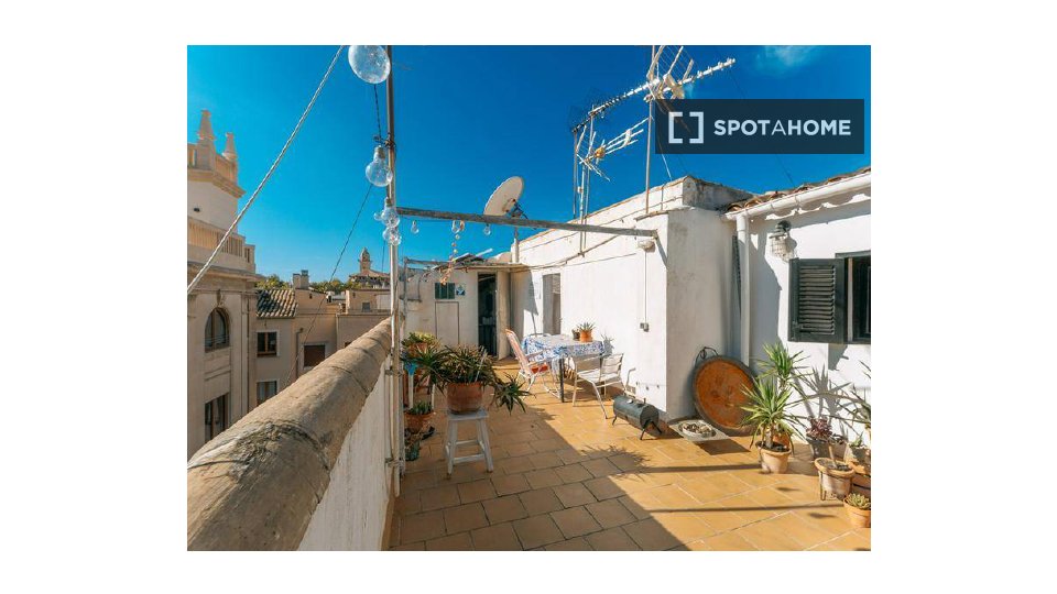 Apartment mono Palma_De_Mallorca, 90m² — photo 5