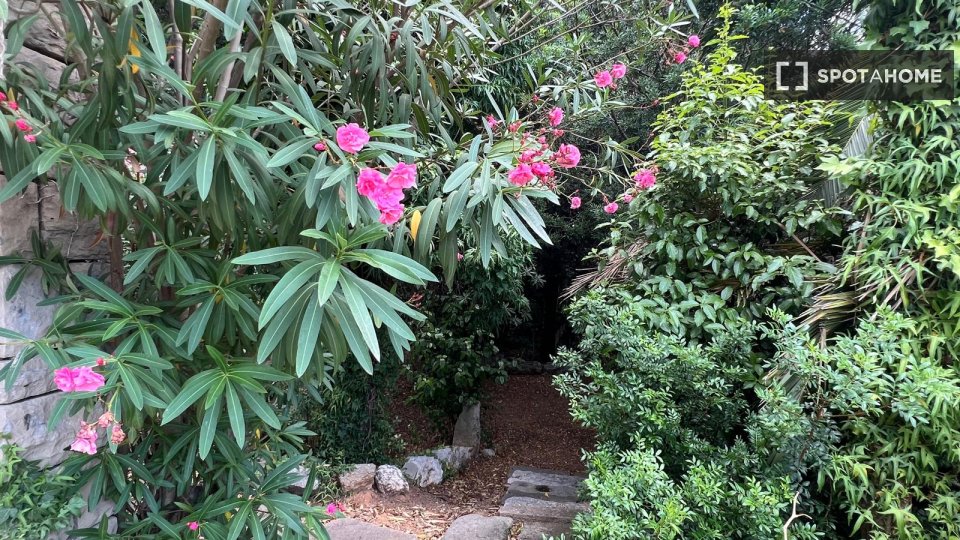 Double room Barcelona, 6 beds, 227m² — photo 14