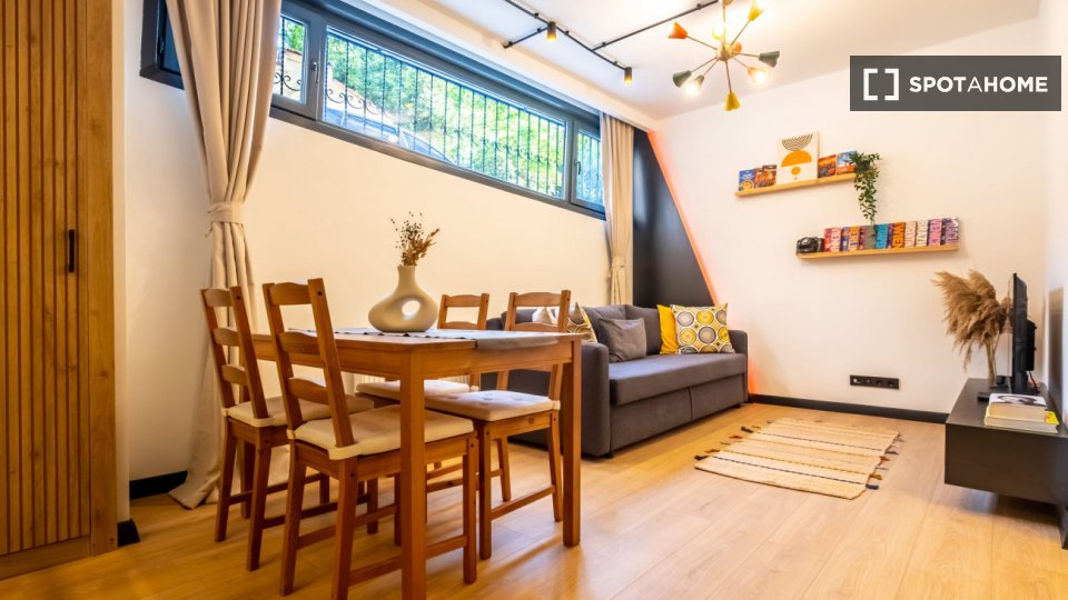 Apartment Istanbul, 1 bed — photo 12