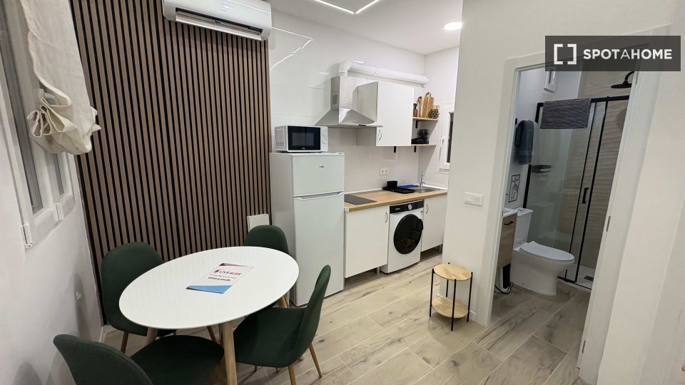 Apartment Madrid, 1 bed, 30m² — photo 21