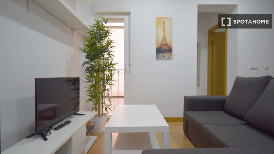 Apartment Madrid, 2 beds, 55m² — photo 11