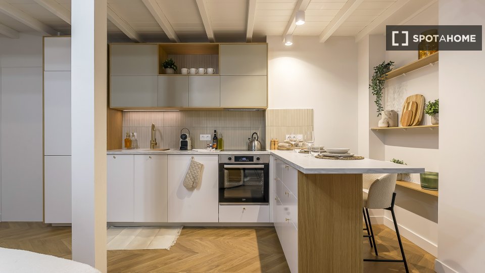 Apartment mono Lyon, 47m² — photo 11